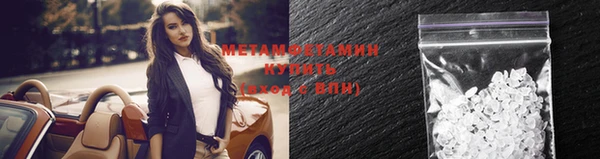 прущие грибы Козельск