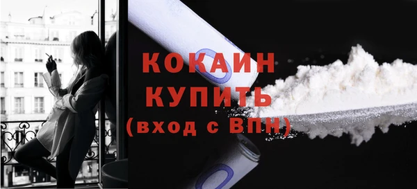 прущие грибы Козельск