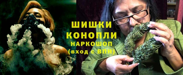 прущие грибы Козельск