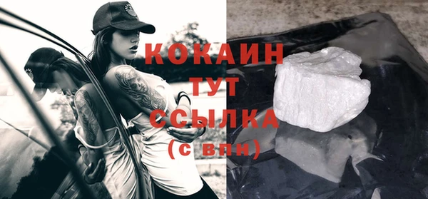 гашик Кодинск
