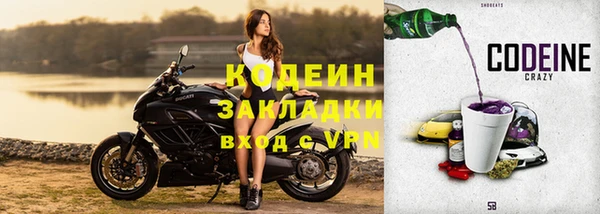 прущие грибы Козельск