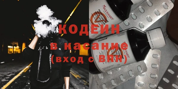гашик Кодинск