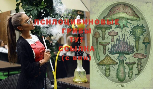 гашик Кодинск
