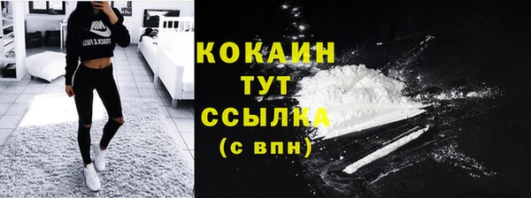 прущие грибы Козельск