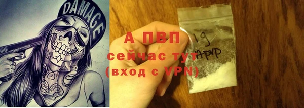 прущие грибы Козельск