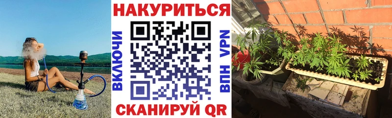 Шишки марихуана White Widow Курчатов